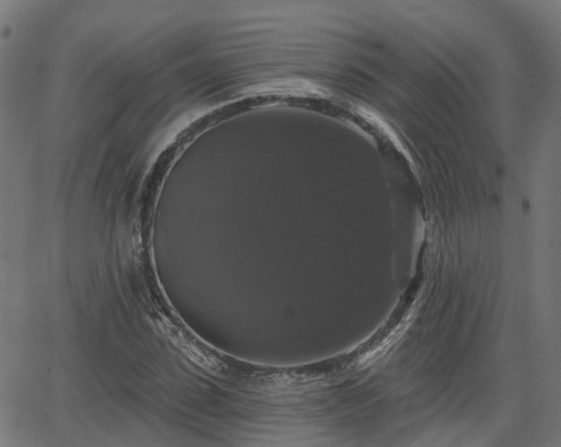 X0000066010923200603061253