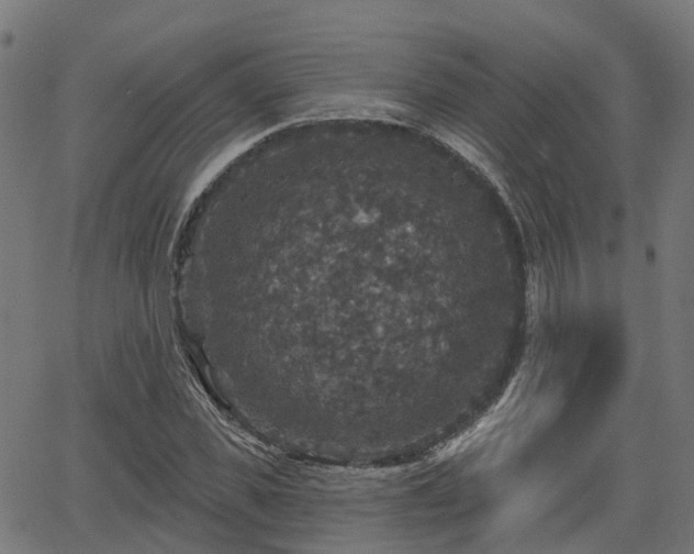 X0000066010925200603061253