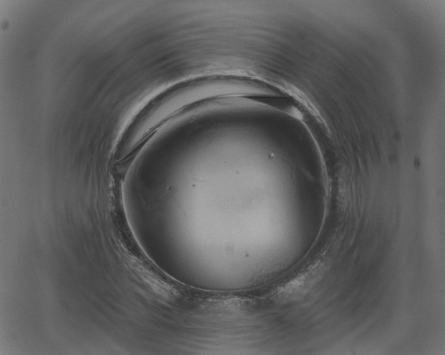 X0000066010926200603061253