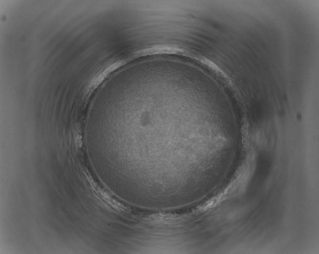 X0000066010929200603061254