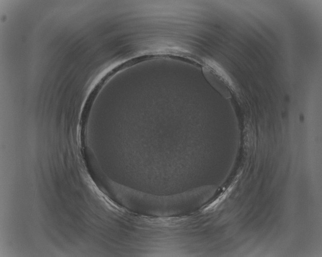 X0000066010932200603061254