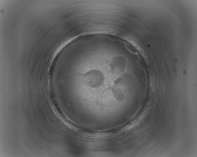 X0000066010933200603061254