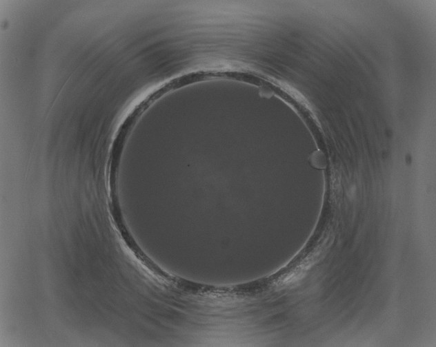 X0000066010935200603061254