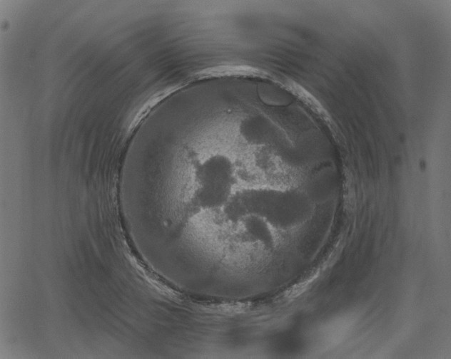 X0000066010937200603061254