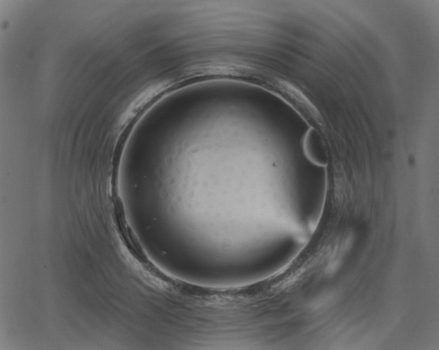 X0000066010938200603061254