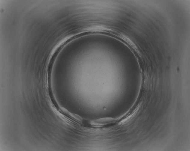 X0000066010939200603061254