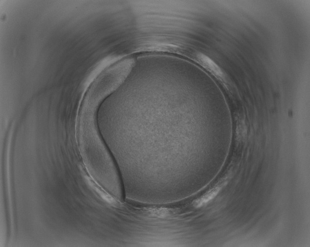 X0000066010940200603061254