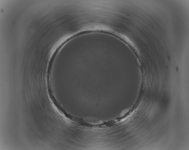 X0000066010943200603061254