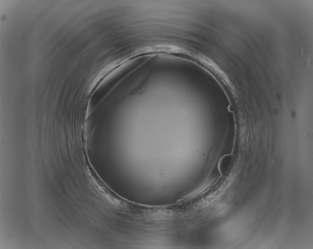 X0000066010945200603061254