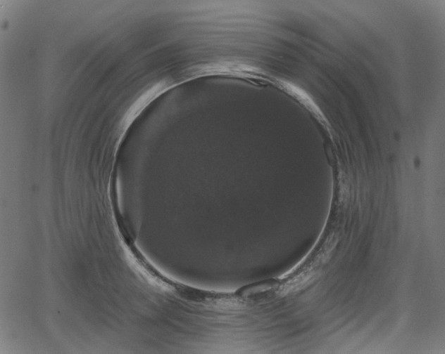 X0000066010946200603061254