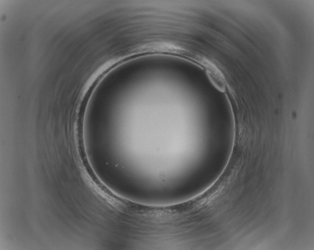 X0000066010947200603061254