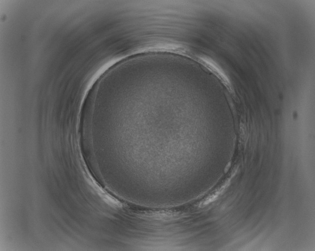 X0000066010948200603061254