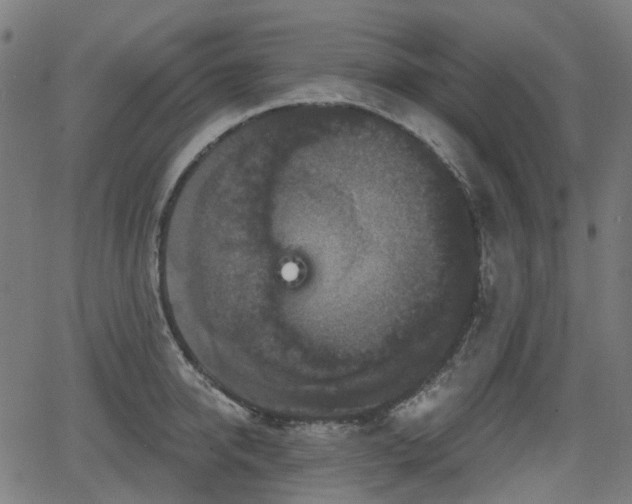 X0000066010950200603061254