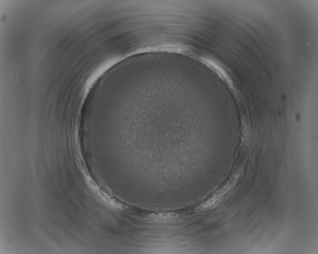 X0000066010952200603061254