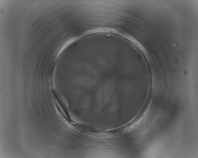 X0000066010953200603061254