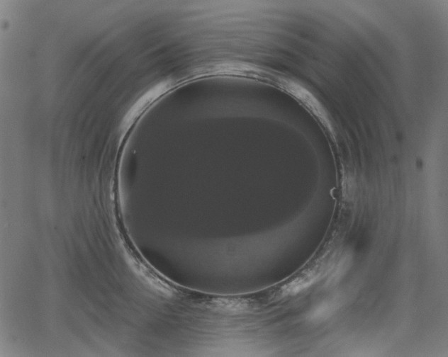 X0000066010954200603061254