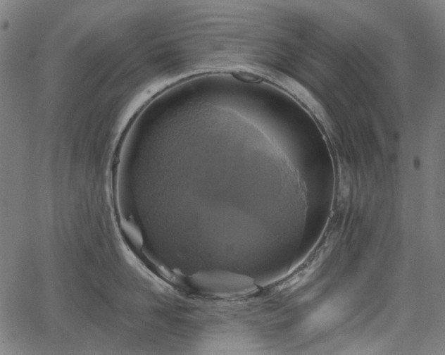 X0000066010958200603061254