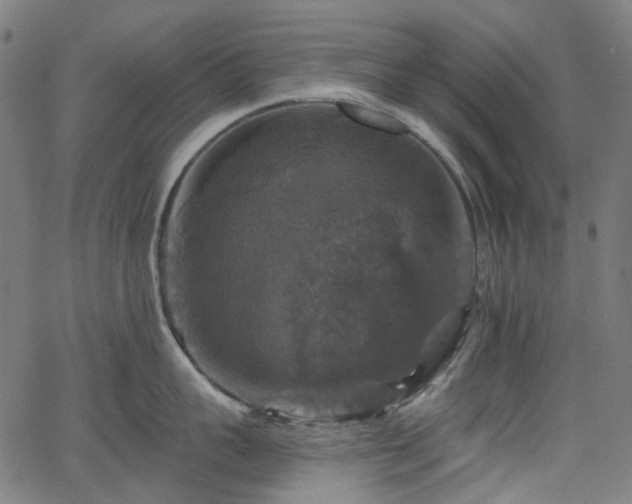 X0000066010959200603061254