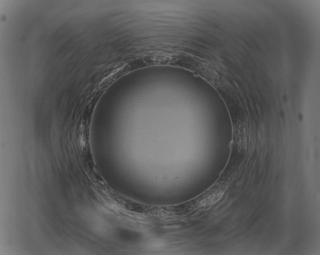 X0000066010962200603061253