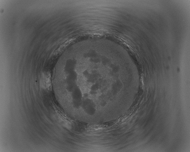 X0000066010963200603061253