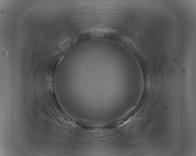 X0000066010964200603061253