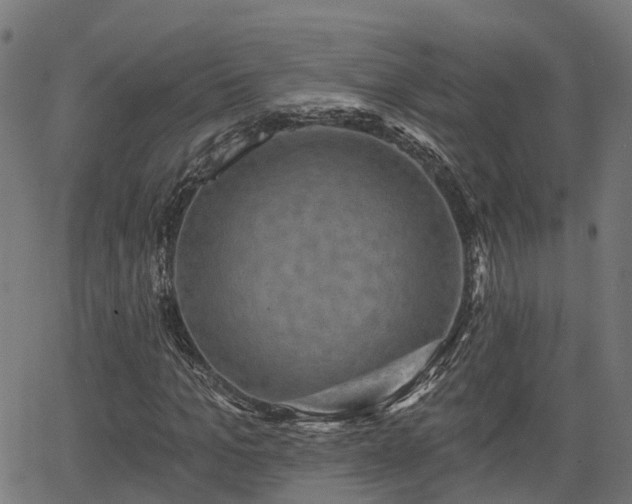 X0000066010965200603061253