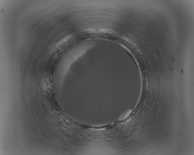 X0000066010966200603061253