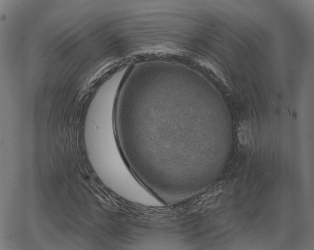 X0000066010968200603061253