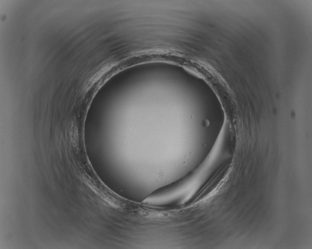 X0000066010969200603061253