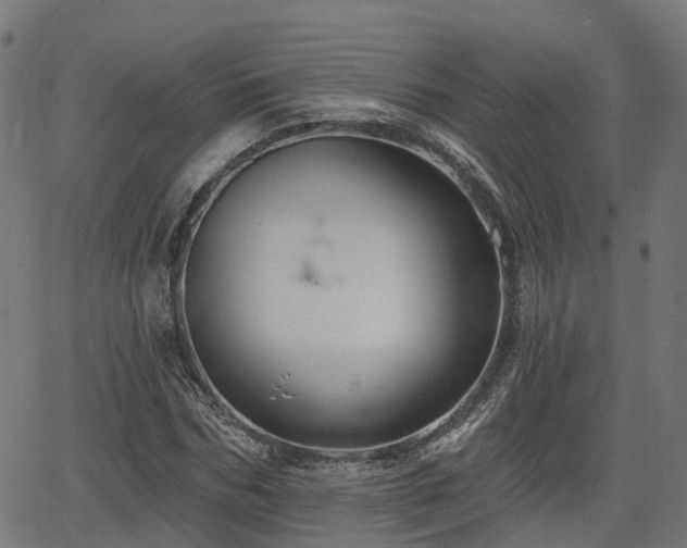 X0000066010970200603061253