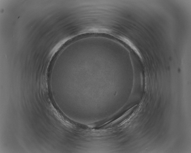 X0000066010972200603061253