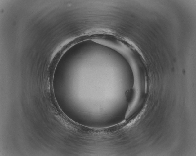 X0000066010973200603061253