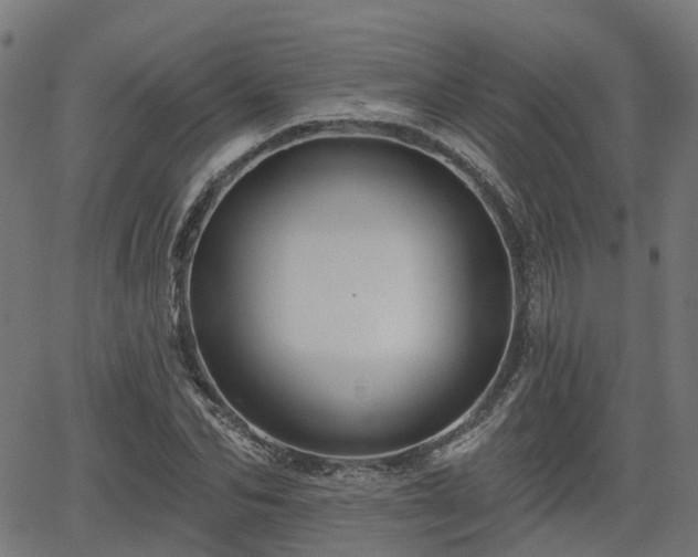 X0000066010974200603061253