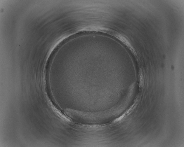 X0000066010976200603061253