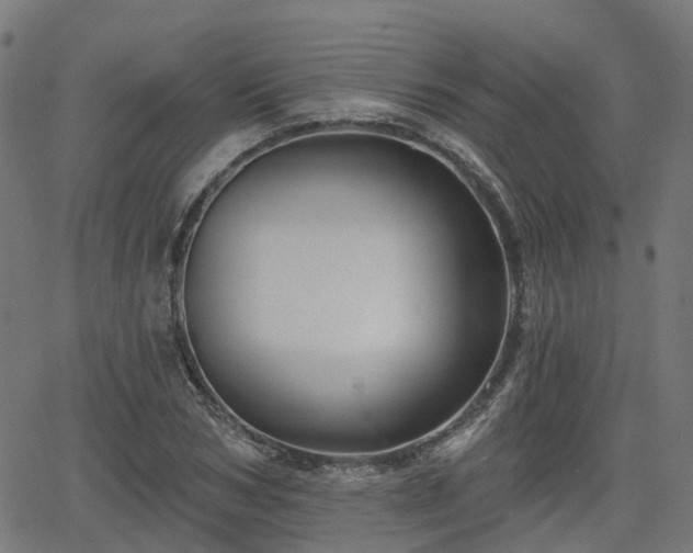 X0000066010978200603061253