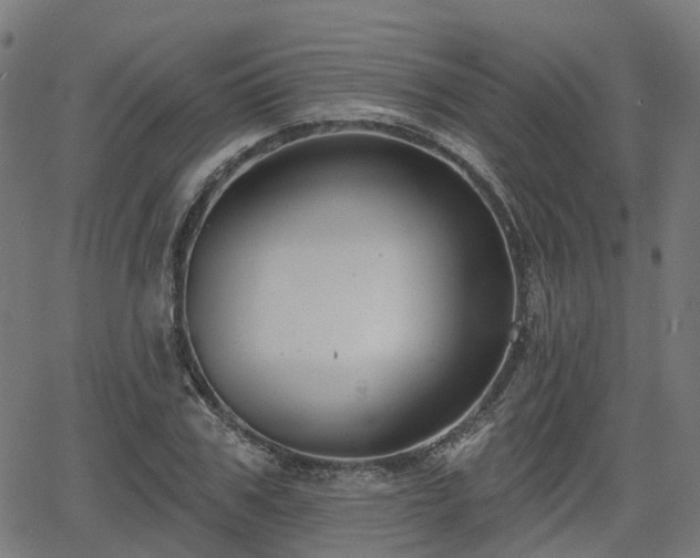 X0000066010979200603061253