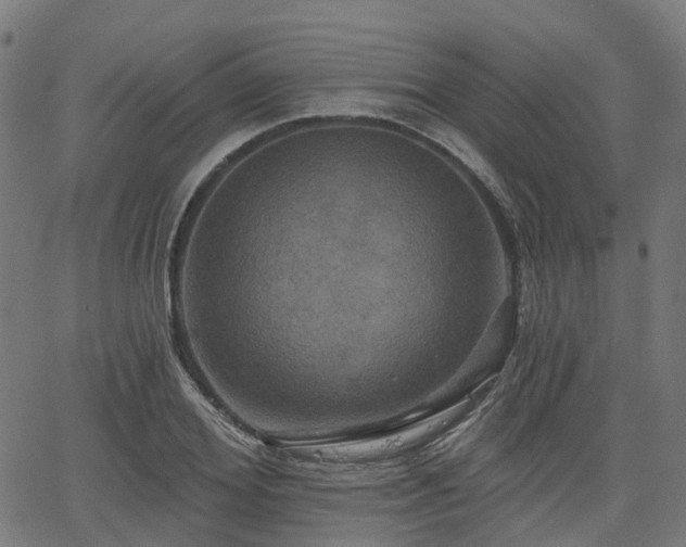 X0000066010980200603061253