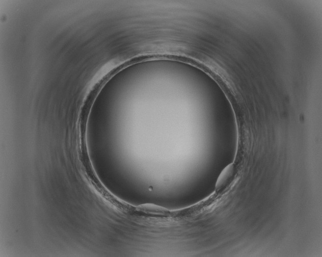 X0000066010982200603061253