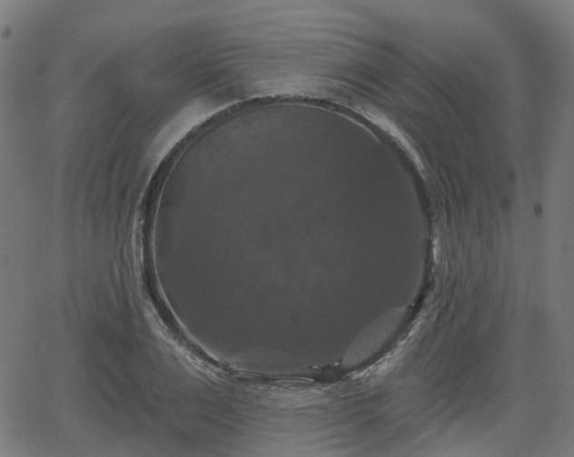 X0000066010983200603061253