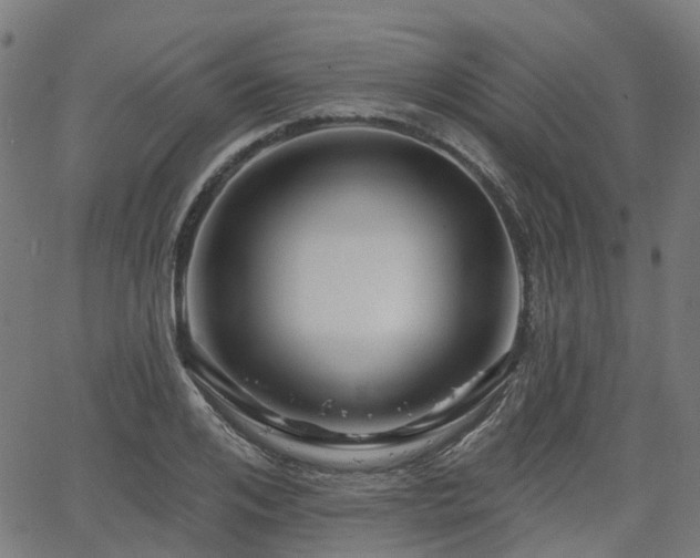 X0000066010984200603061253