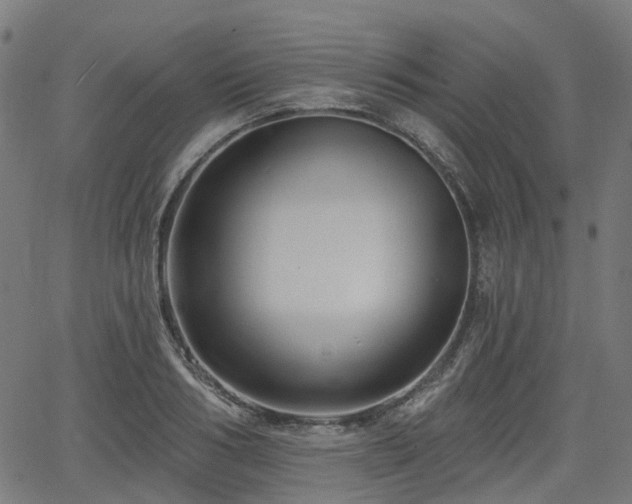 X0000066010986200603061253