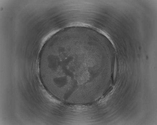 X0000066010987200603061253