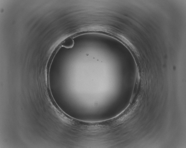 X0000066010988200603061253