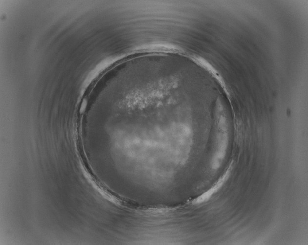 X0000066010989200603061253