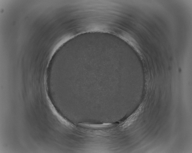 X0000066010991200603061253