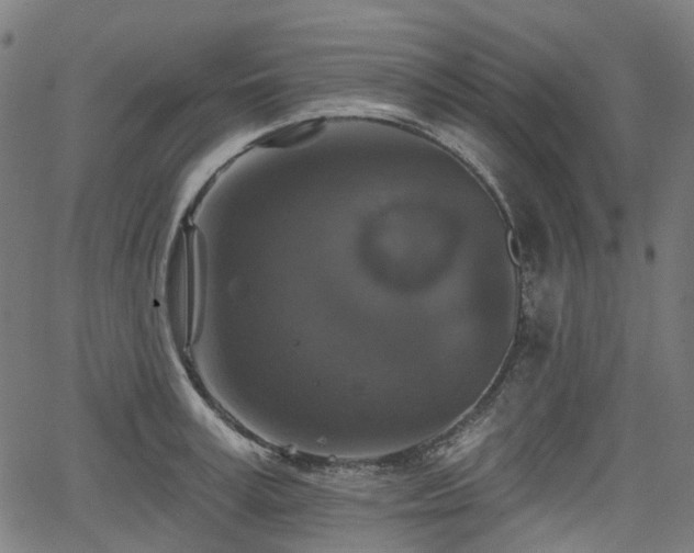 X0000066010995200603061253