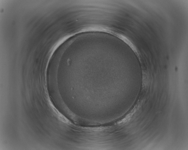 X0000066010996200603061253