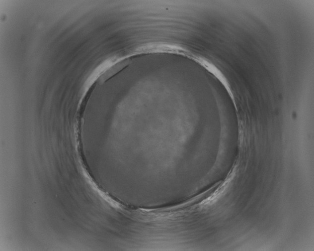 X0000066010997200603061253