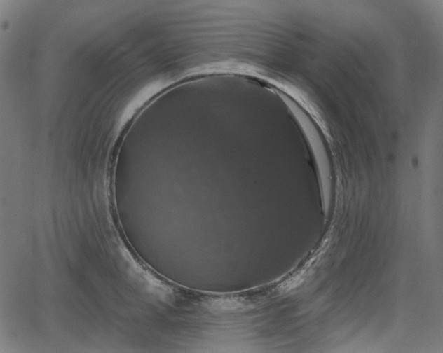 X0000066010998200603061253