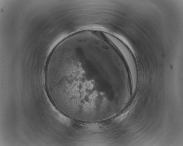 X0000066010999200603061253